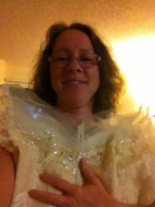 The bodice is soooo lovely!