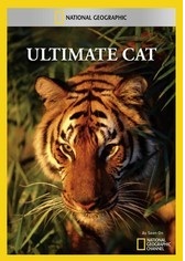 Ultimate Cat