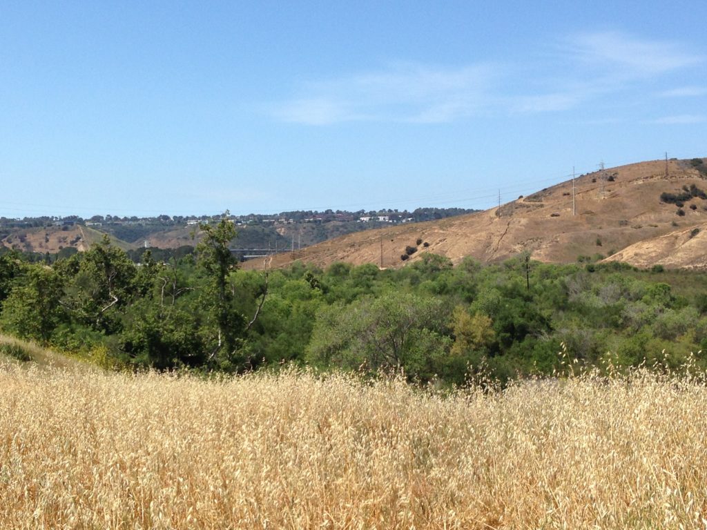 Hard to believe an industrial park is just out of sight